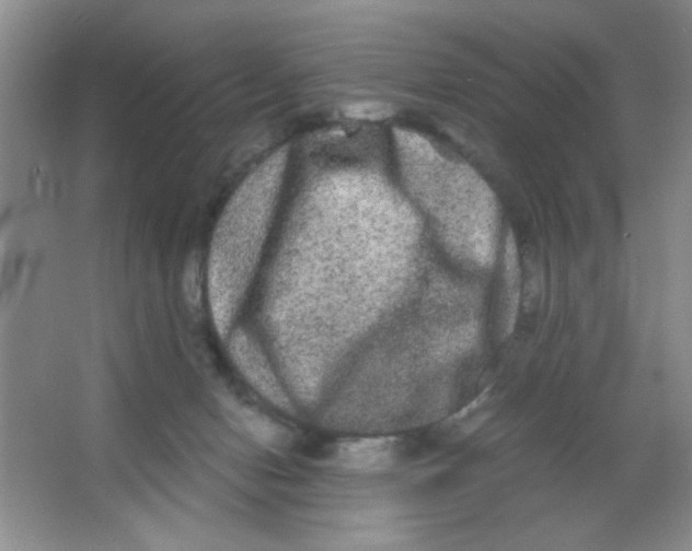 X0000063500078200602101910