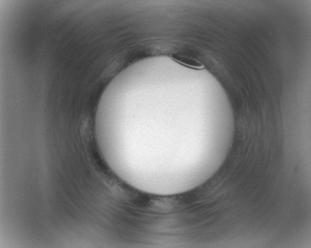 X0000063500079200602101910