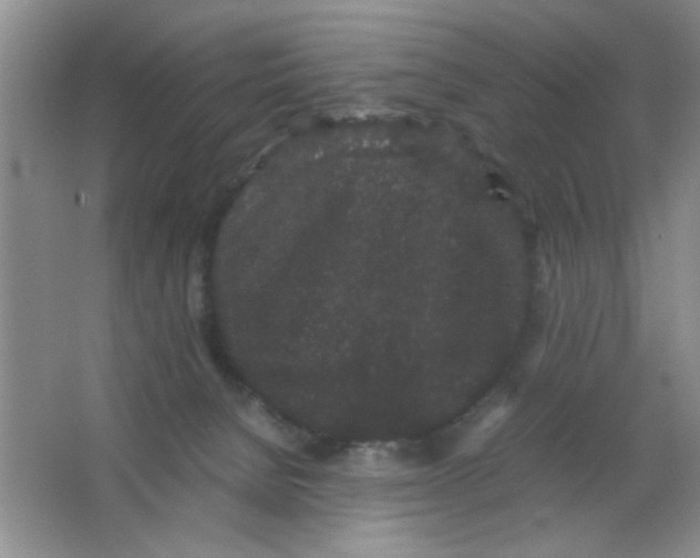 X0000063500080200602101910