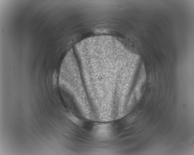 X0000063500081200602101910