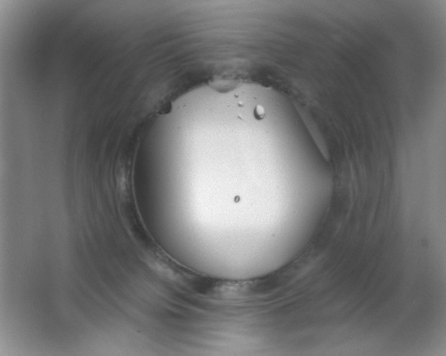 X0000063500084200602101910