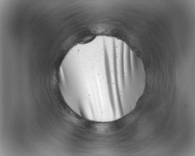 X0000063500085200602101910