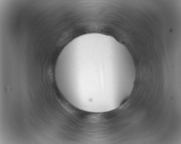 X0000063500086200602101910