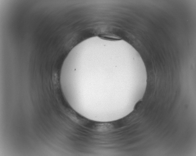 X0000063500087200602101910