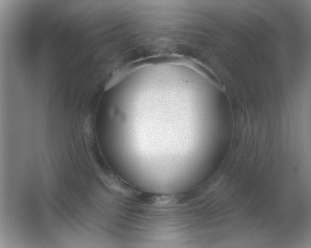 X0000063500088200602101910