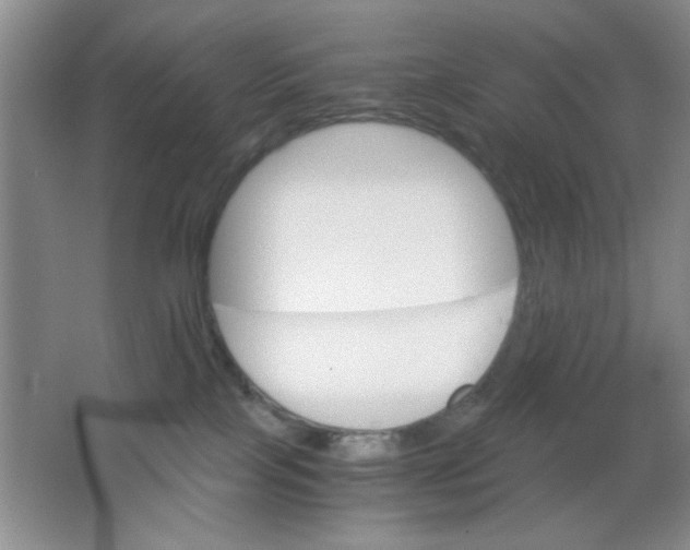 X0000063500089200602101910