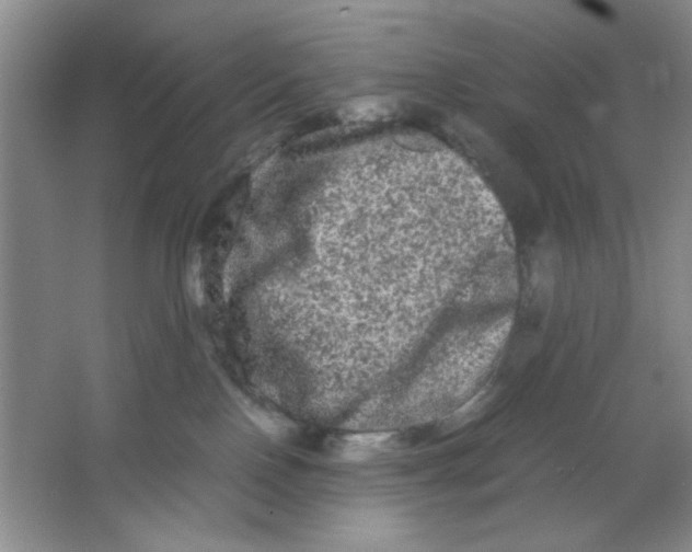 X0000063500090200602101910