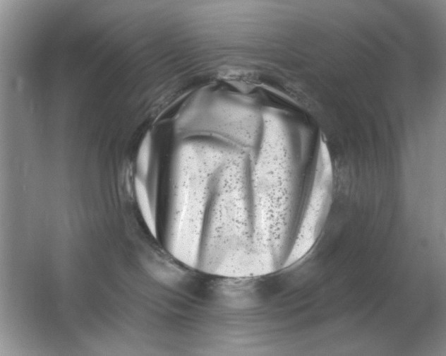 X0000063500094200602101911