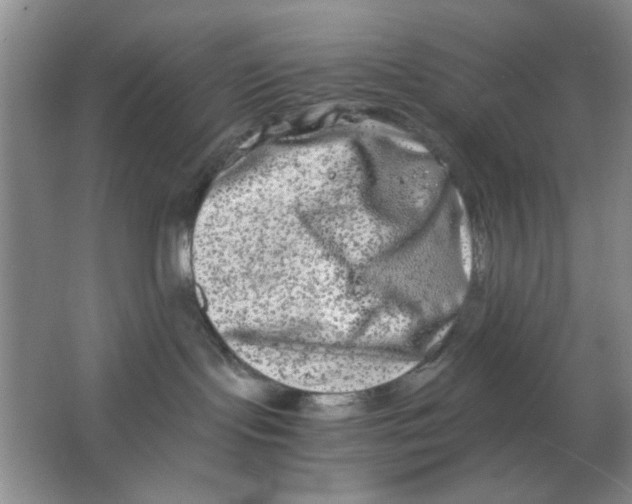 X0000063500095200602101911