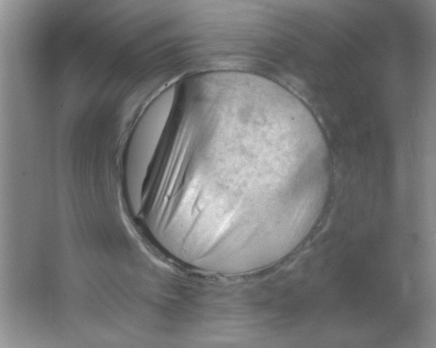 X0000063500097200602101910