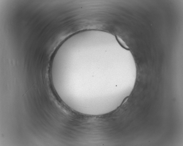 X0000063500098200602101910