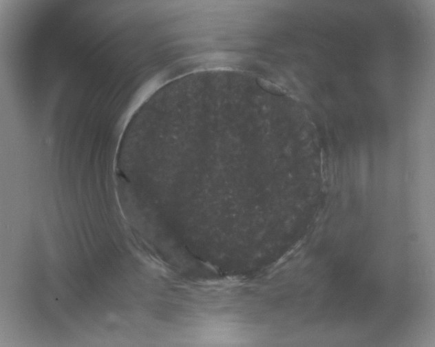 X0000063500099200602101910