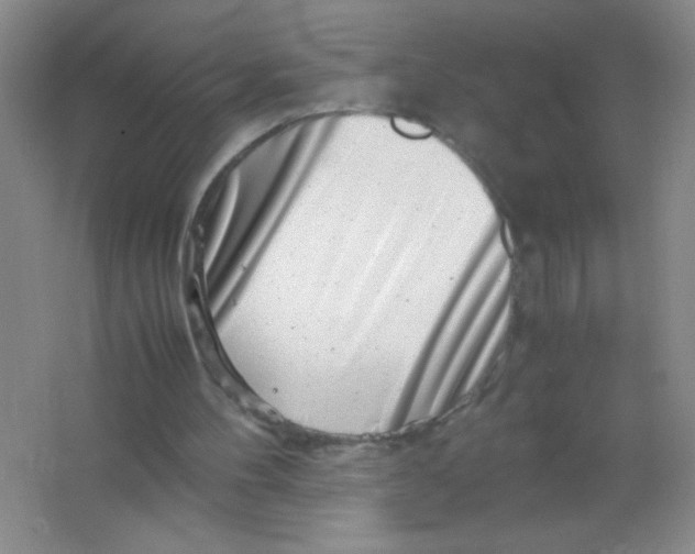 X0000063500100200602101910