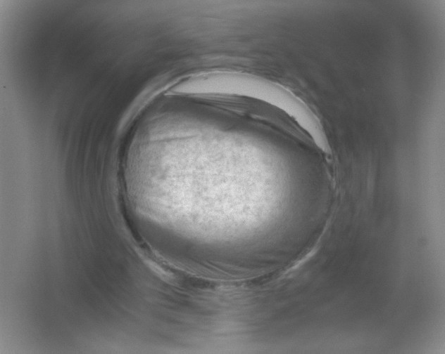 X0000063500101200602101910