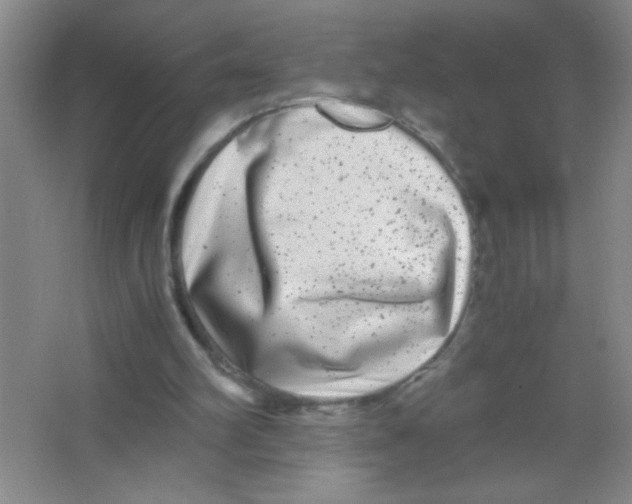 X0000063500102200602101910