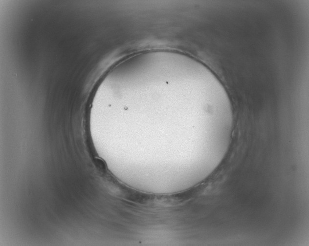 X0000063500103200602101910