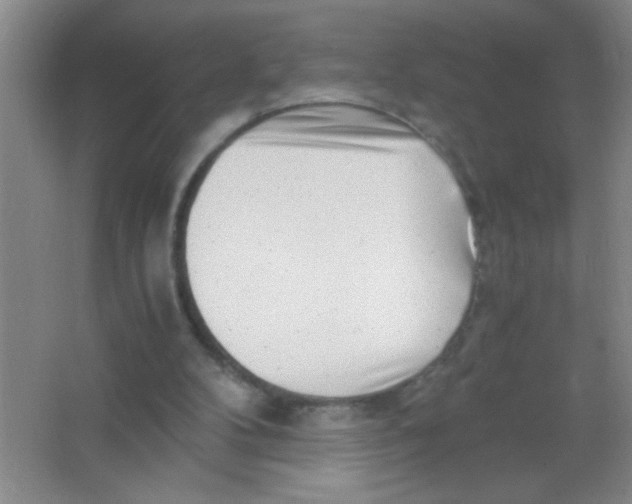 X0000063500104200602101910