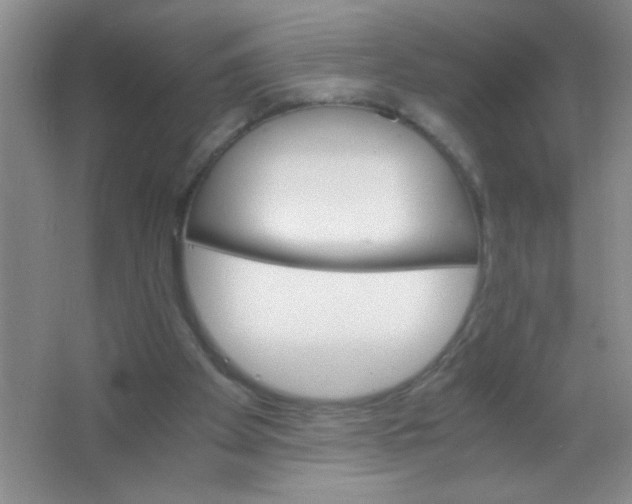 X0000063500105200602101910