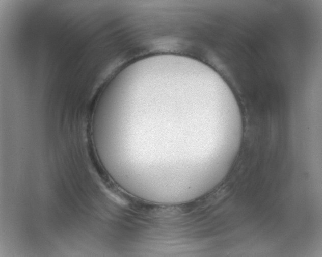 X0000063500106200602101910