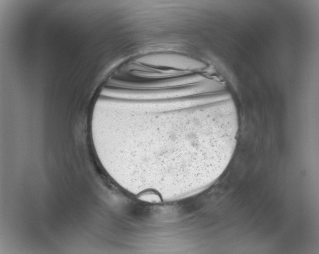 X0000063500107200602101910