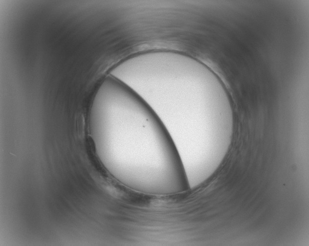 X0000063500109200602101910