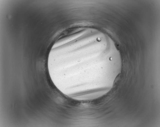 X0000063500111200602101910