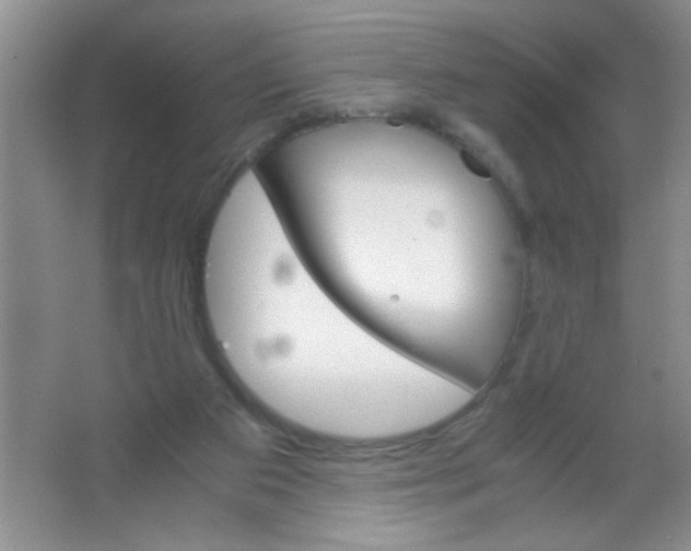 X0000063500113200602101909