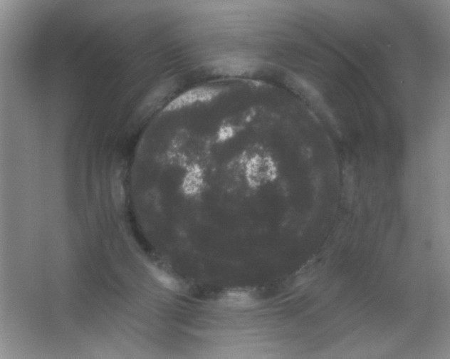 X0000063500114200602101909