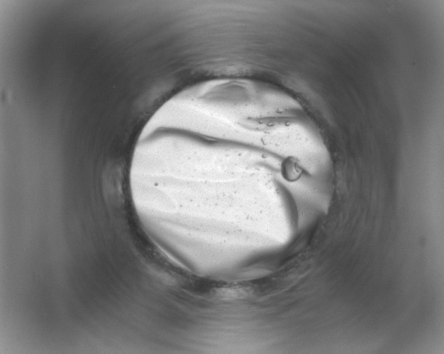 X0000063500115200602101909