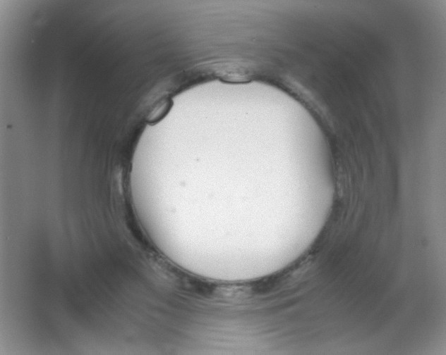 X0000063500117200602101909