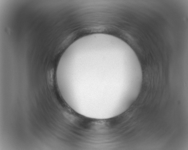 X0000063500118200602101909