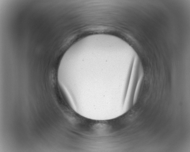 X0000063500119200602101909