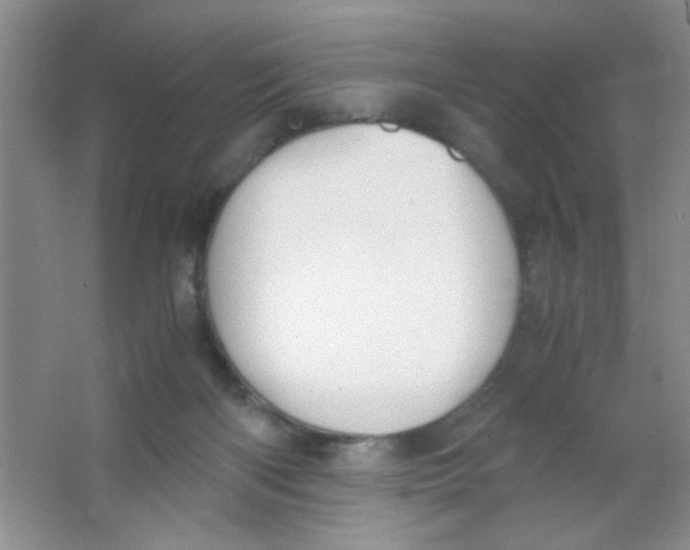 X0000063500122200602101909