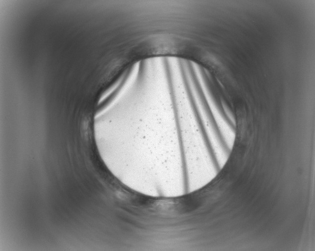 X0000063500123200602101909