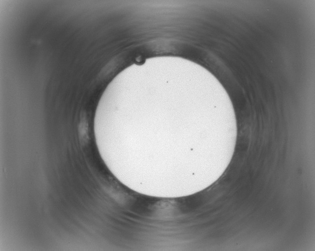 X0000063500124200602101909