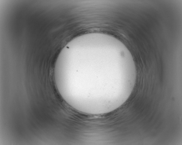 X0000063500125200602101909