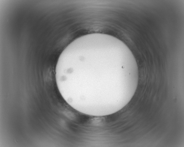 X0000063500126200602101909