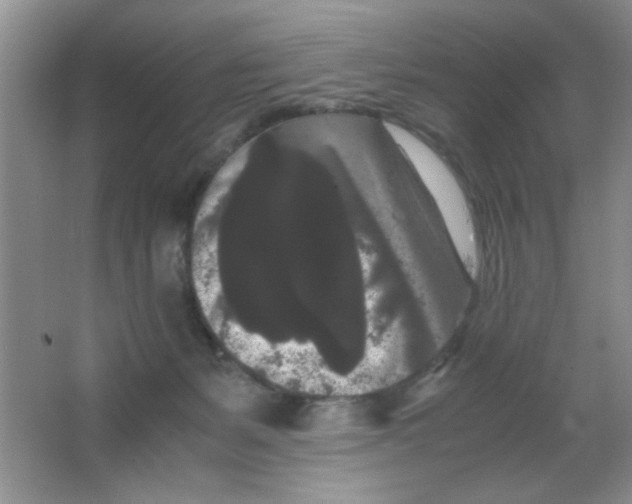 X0000063500127200602101909