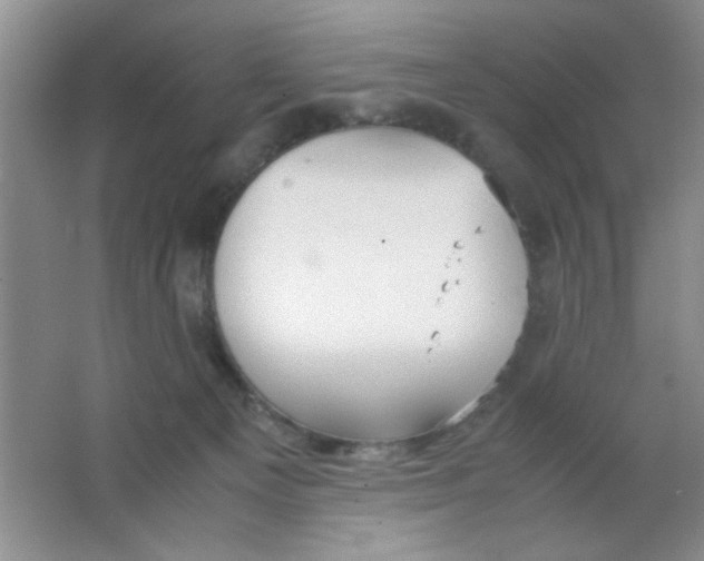 X0000063500129200602101909