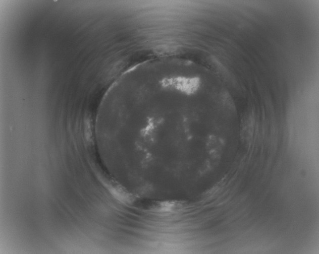 X0000063500130200602101909