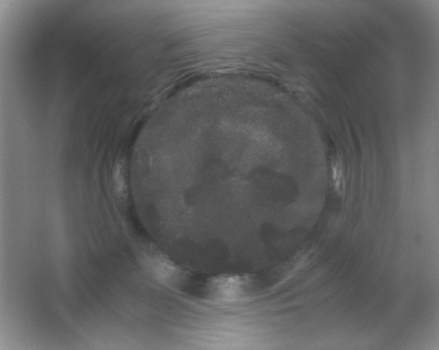 X0000063500131200602101909