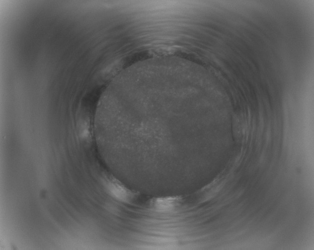 X0000063500134200602101909