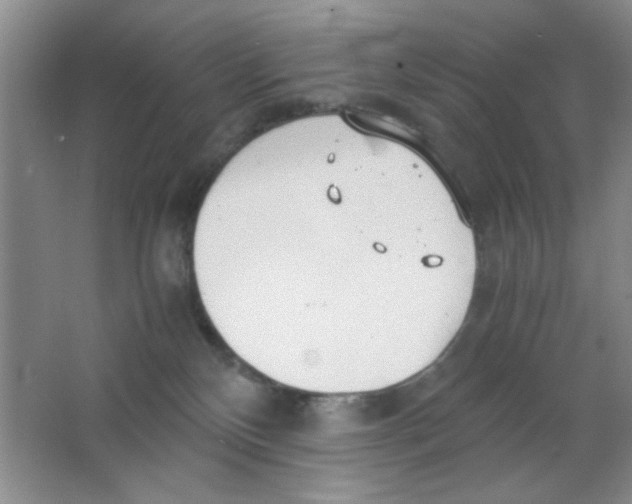 X0000063500136200602101909