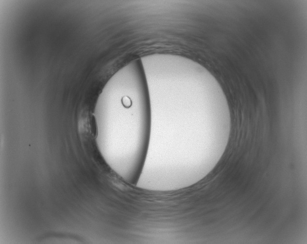 X0000063500137200602101909