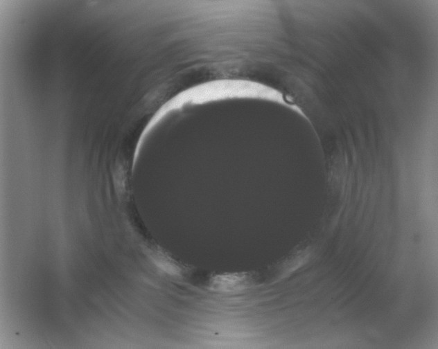 X0000063500139200602101909