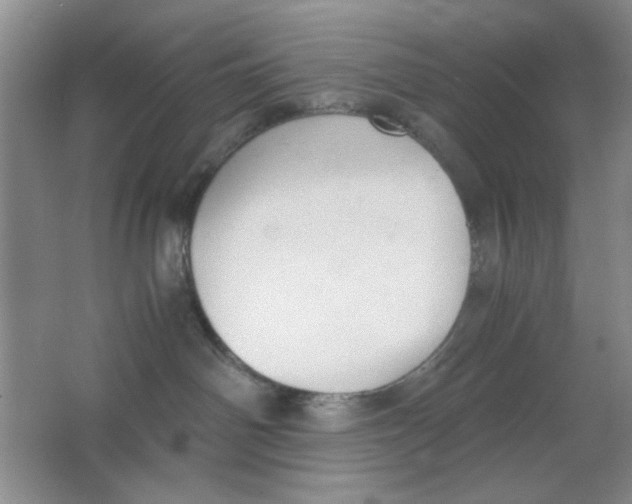 X0000063500142200602101909