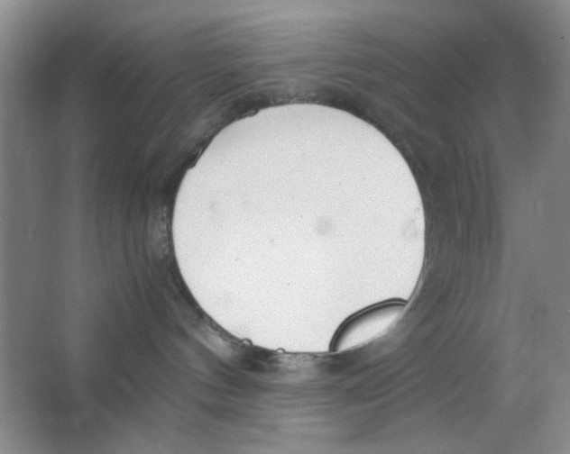 X0000063500144200602101909