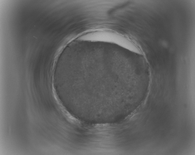 X0000063500145200602101908