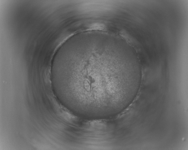 X0000063500146200602101908