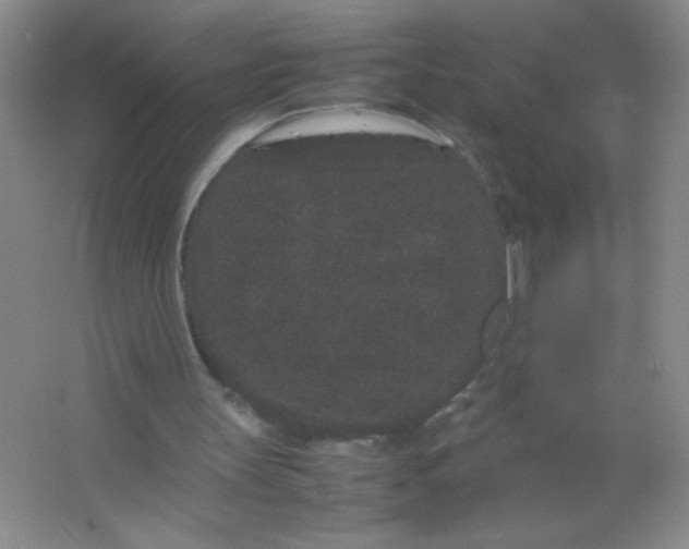 X0000063500147200602101908